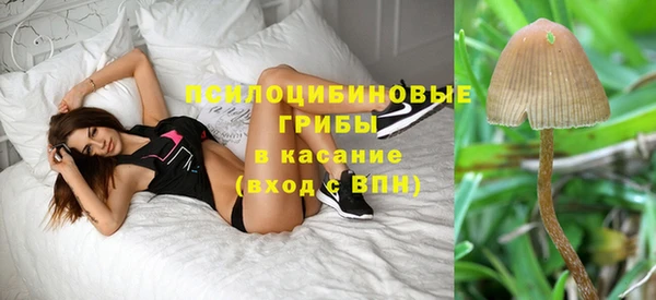 эйфоретик Магадан