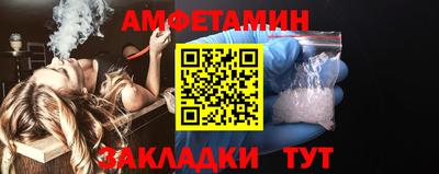 шишки Гатчина