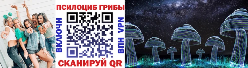 блэк спрут ссылка  Пятигорск  Псилоцибиновые грибы Cubensis  продажа наркотиков 