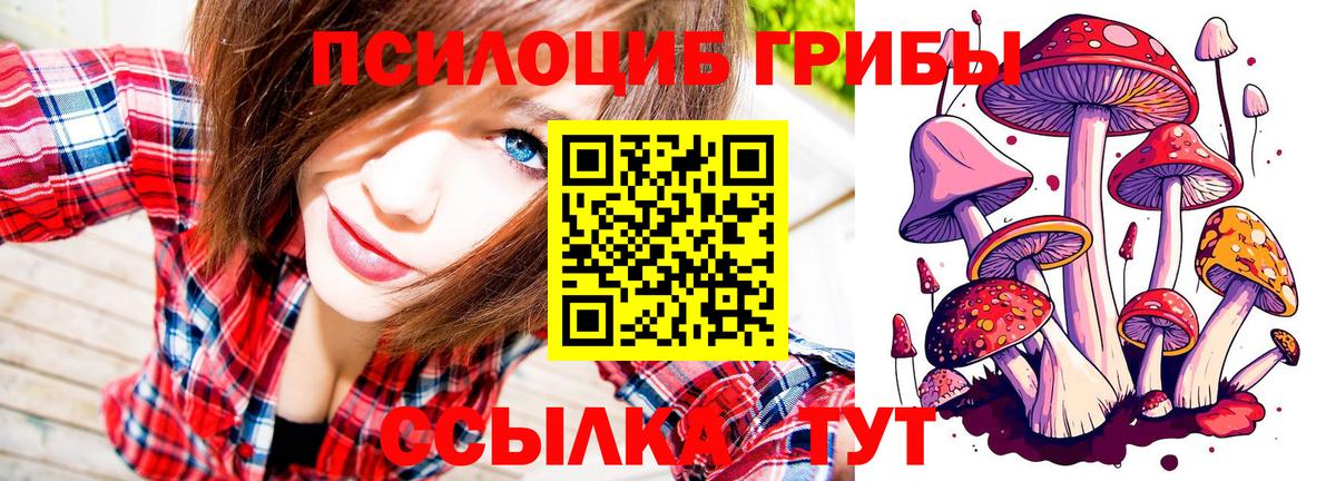 Псилоцибиновые грибы прущие грибы Пятигорск