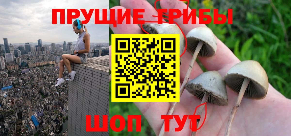 Псилоцибиновые грибы ЛСД Пятигорск