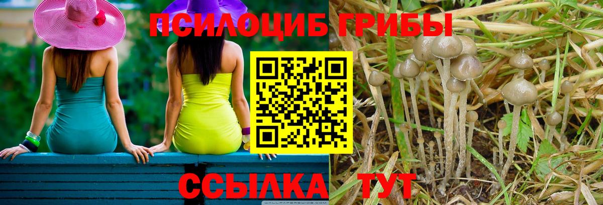 Псилоцибиновые грибы ЛСД  Пятигорск  Галлюциногенные грибы прущие грибы 