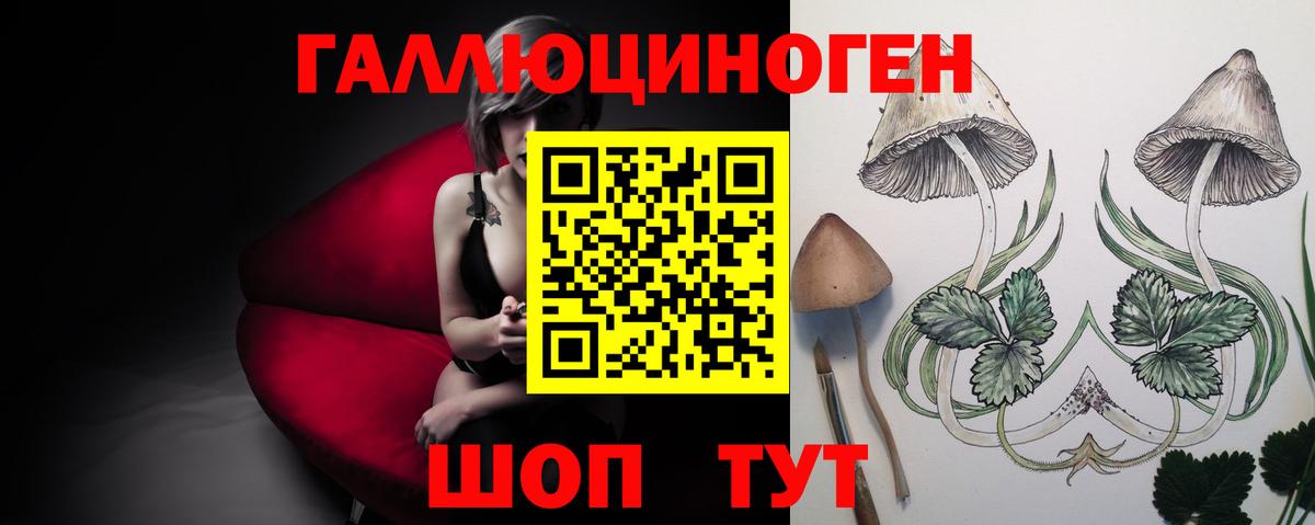 Псилоцибиновые грибы мухоморы  Псилоцибиновые грибы прущие грибы  Пятигорск  Вход с VPN 