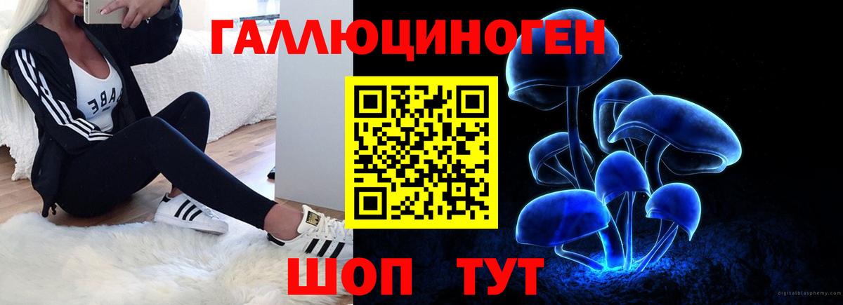 Пятигорск  Псилоцибиновые грибы Psilocybe  Вход с VPN 